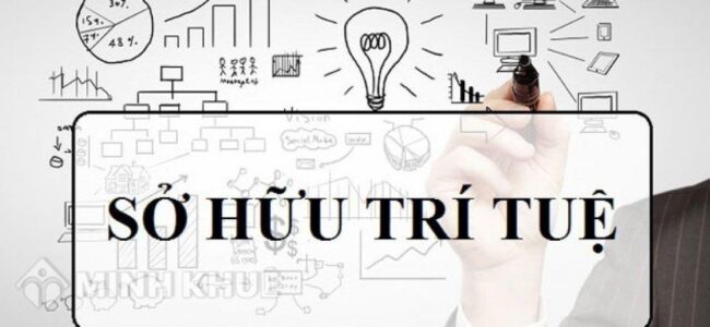 sở hữu trí tuệ là gì
